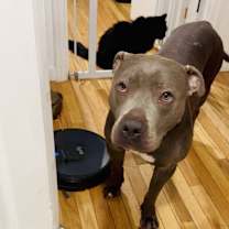 Thumbnail photo of Kai #4