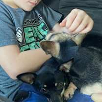 Thumbnail photo of Little Bit #2