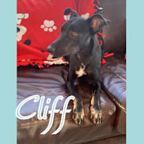 Thumbnail photo of Cliff #1