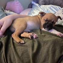 Thumbnail photo of Sampson #3