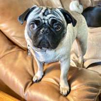 Thumbnail photo of Bennett #2