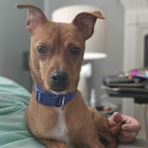 Thumbnail photo of Kodiak #2