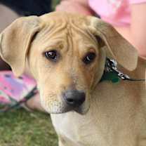 Thumbnail photo of Spud #1