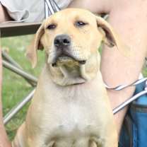 Thumbnail photo of Spud #4