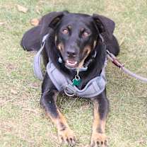 Thumbnail photo of Tres #1