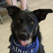 Thumbnail photo of Tres #2