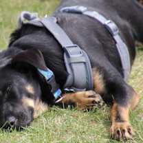 Thumbnail photo of Tres #3