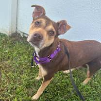 Thumbnail photo of Jade #3