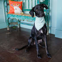 Thumbnail photo of Drew #1