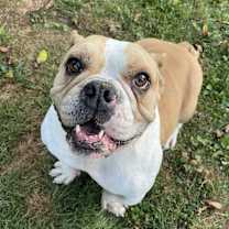 Thumbnail photo of Baddie #1