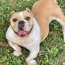 Thumbnail photo of Baddie #2