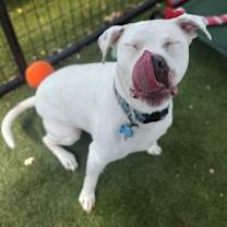 Thumbnail photo of Tex #2