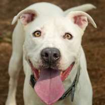 Thumbnail photo of Arty 56477 #1