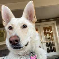 Thumbnail photo of Snow #1