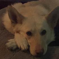 Thumbnail photo of Snow #2