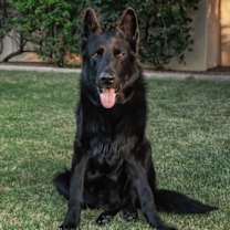 Thumbnail photo of MIKEY #2