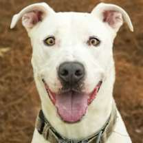 Thumbnail photo of Arty 56477 #3