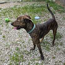 Thumbnail photo of Tio #2