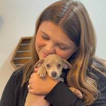 Thumbnail photo of Hugo The Pocket Chi Ward #3