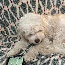 Thumbnail photo of Twotwo #1