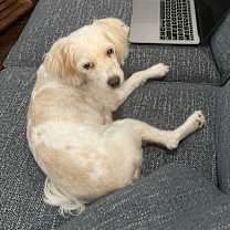 Thumbnail photo of Twotwo #2