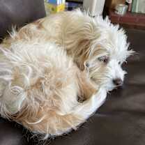 Thumbnail photo of Twotwo #3