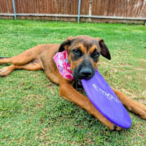 Thumbnail photo of Shasta Gail (New Digs) #2