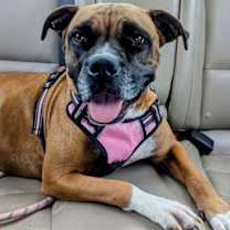 Thumbnail photo of Shelby Grace (New Digs) #1