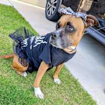 Thumbnail photo of Shelby Grace (New Digs) #2