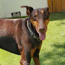 Thumbnail photo of Tumble JuM #1