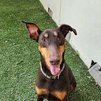 Thumbnail photo of Tumble JuM #3