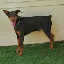 Thumbnail photo of Tumble JuM #4