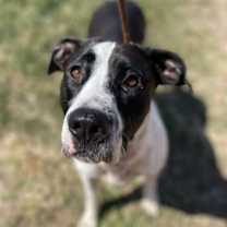 Thumbnail photo of Ellie #3