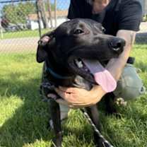 Thumbnail photo of Vista #1