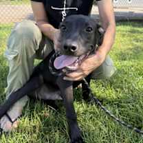 Thumbnail photo of Vista #2