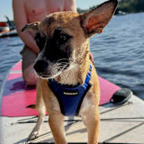 Thumbnail photo of HICKORY #3