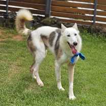 Thumbnail photo of Myungsoo #3