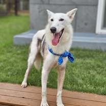 Thumbnail photo of Myungsoo #4