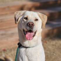 Thumbnail photo of Ilbok #2