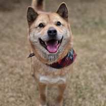 Thumbnail photo of Jigu #2