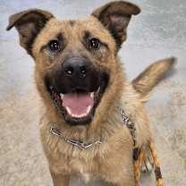 Thumbnail photo of Diego #3