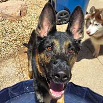 Thumbnail photo of Zack #1