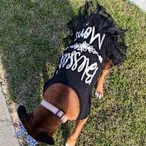 Thumbnail photo of Shelby Grace (New Digs) #4