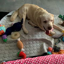 Thumbnail photo of Franklin #2