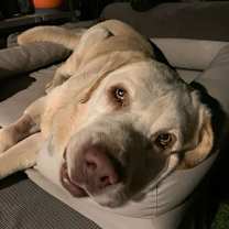 Thumbnail photo of Franklin #3