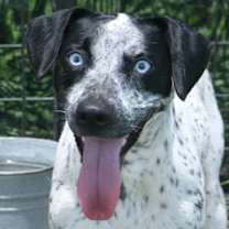 Thumbnail photo of Ellie #1