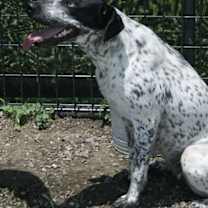 Thumbnail photo of Ellie #2