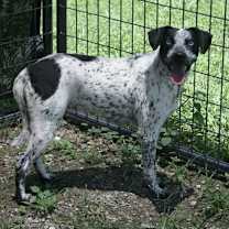 Thumbnail photo of Ellie #3