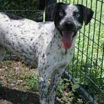 Thumbnail photo of Ellie #4