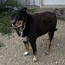 Thumbnail photo of Lucky #3